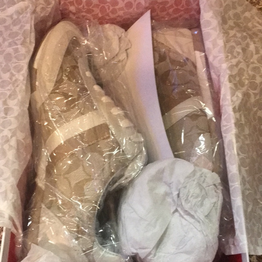 Coach 12CM SIG/WEBBING LKK LYKHI/KHI Sneakers - Picture 7 of 17